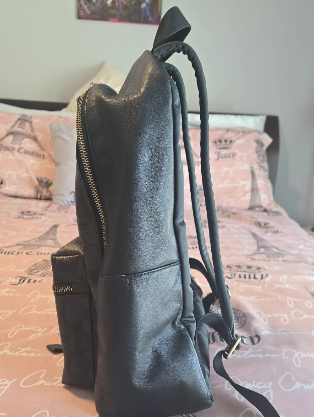 EUC Coach Signature Charley Small Leather Multi/Brown Backpack